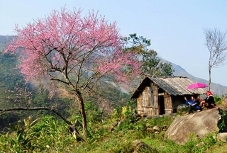 Sapa in Lao Cai