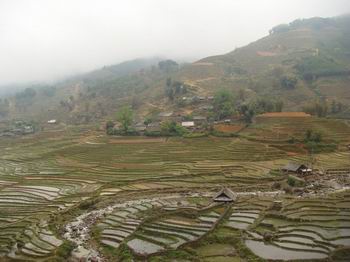 Trekking in Sapa