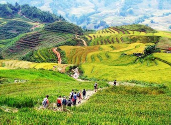 Trekking in the Glorious Sapa