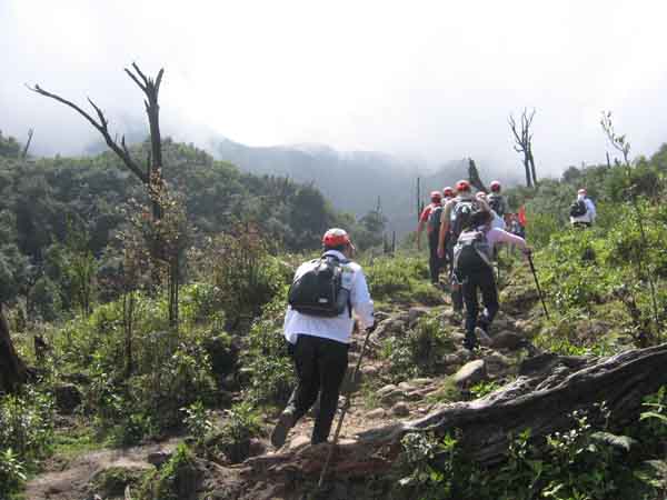 Fansipan mountain trekking experience