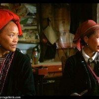 Sapa Culture Guide