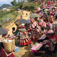 Sapa Markets