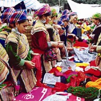 Sapa Markets